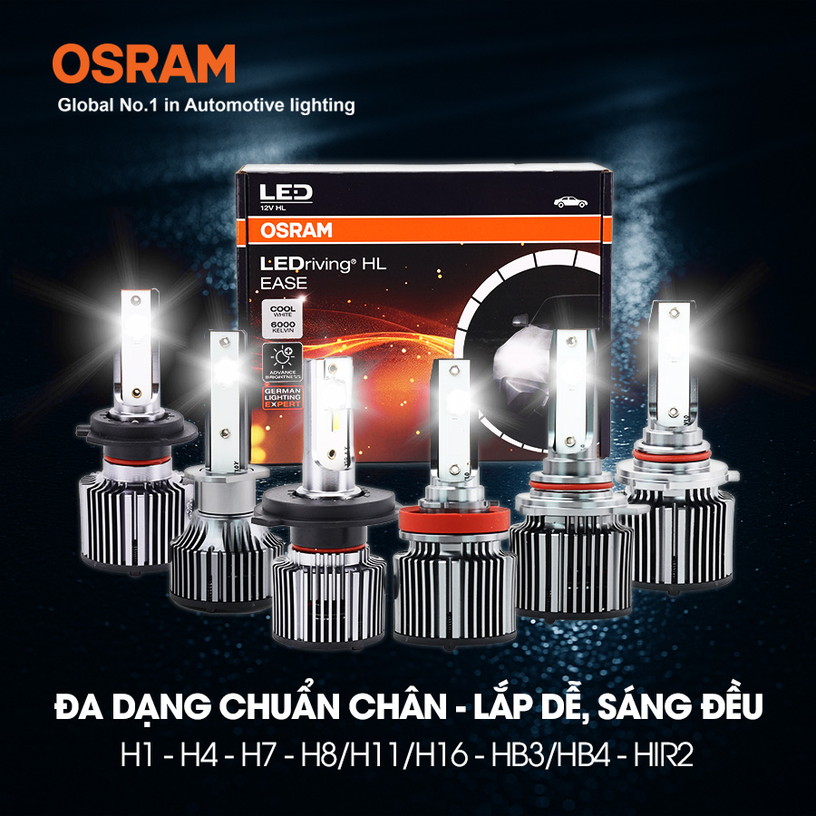 Bóng Led Grass H11-H8-H16 F6211CW 12V 30W 6000K 2 bóng/hộp Hiệu Osram