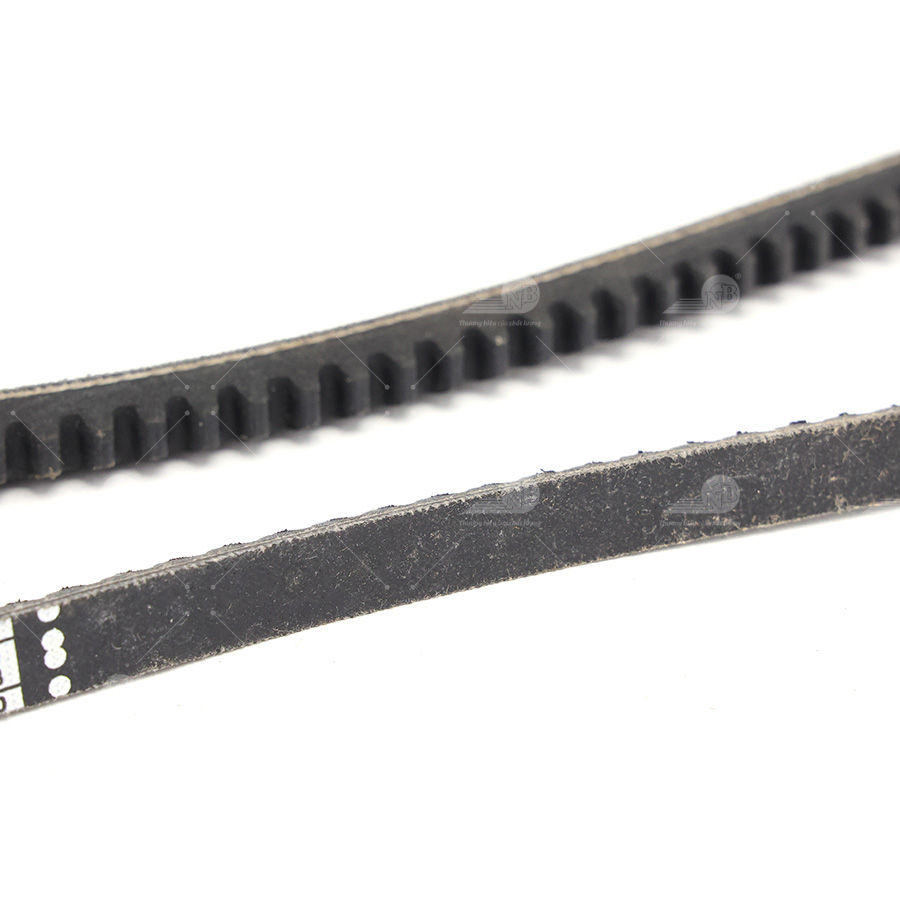 Dây curoa thang Optibelt  V10x900