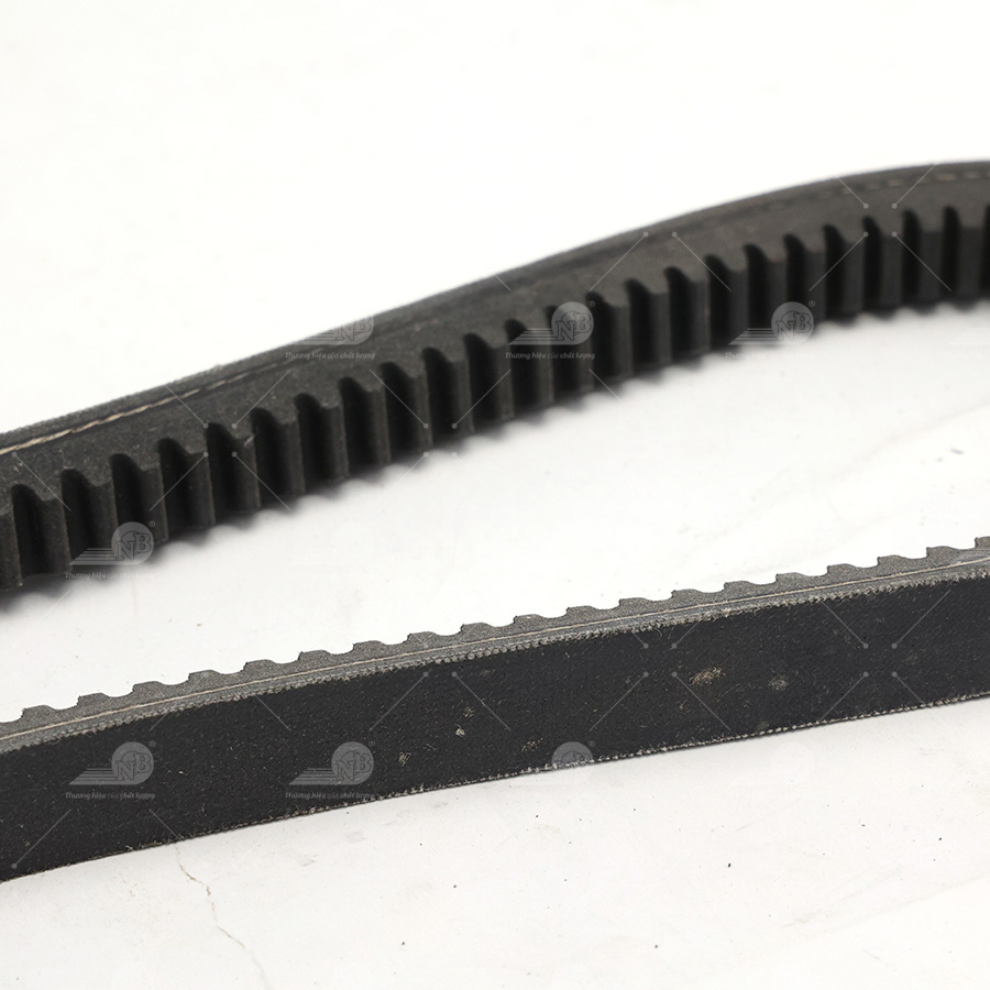 Dây curoa thang Optibelt  V15x775