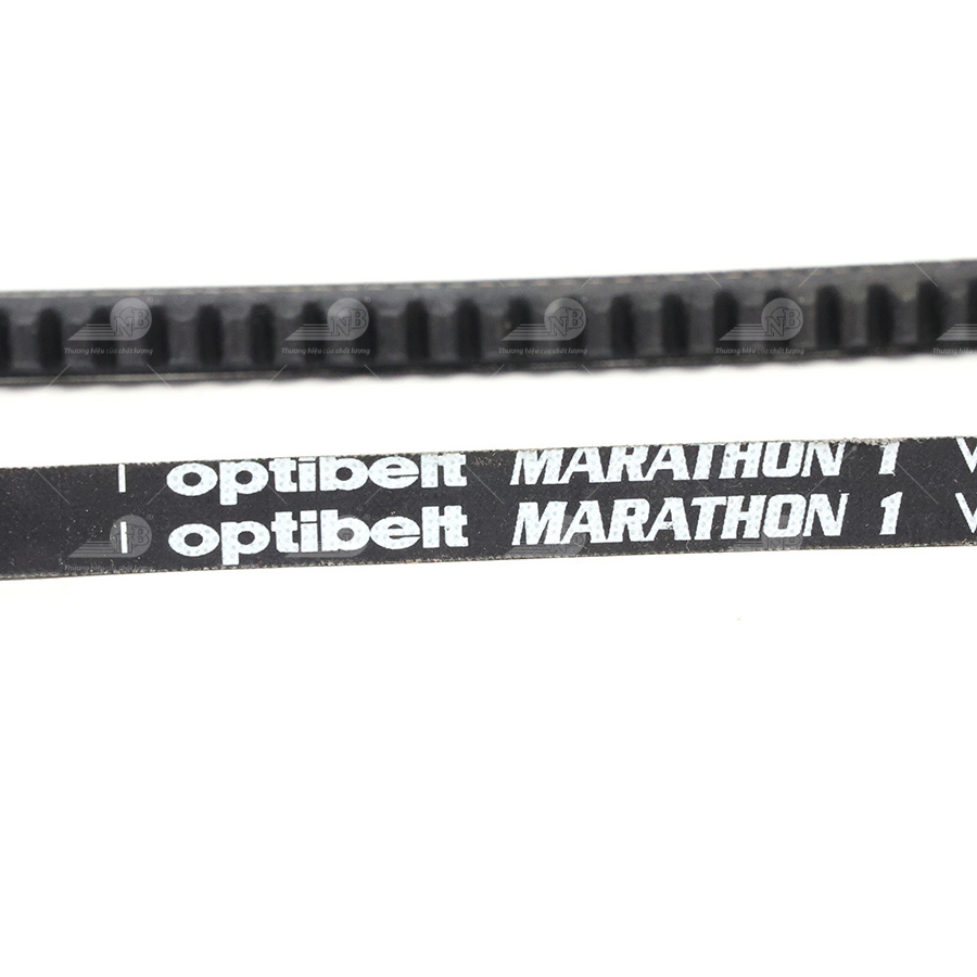 Dây curoa thang Optibelt  V10x1030