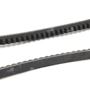 Dây curoa thang Optibelt  V10x1055