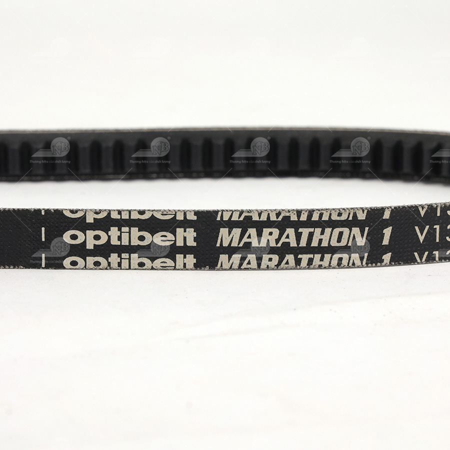 Dây curoa thang Optibelt  V13x1000