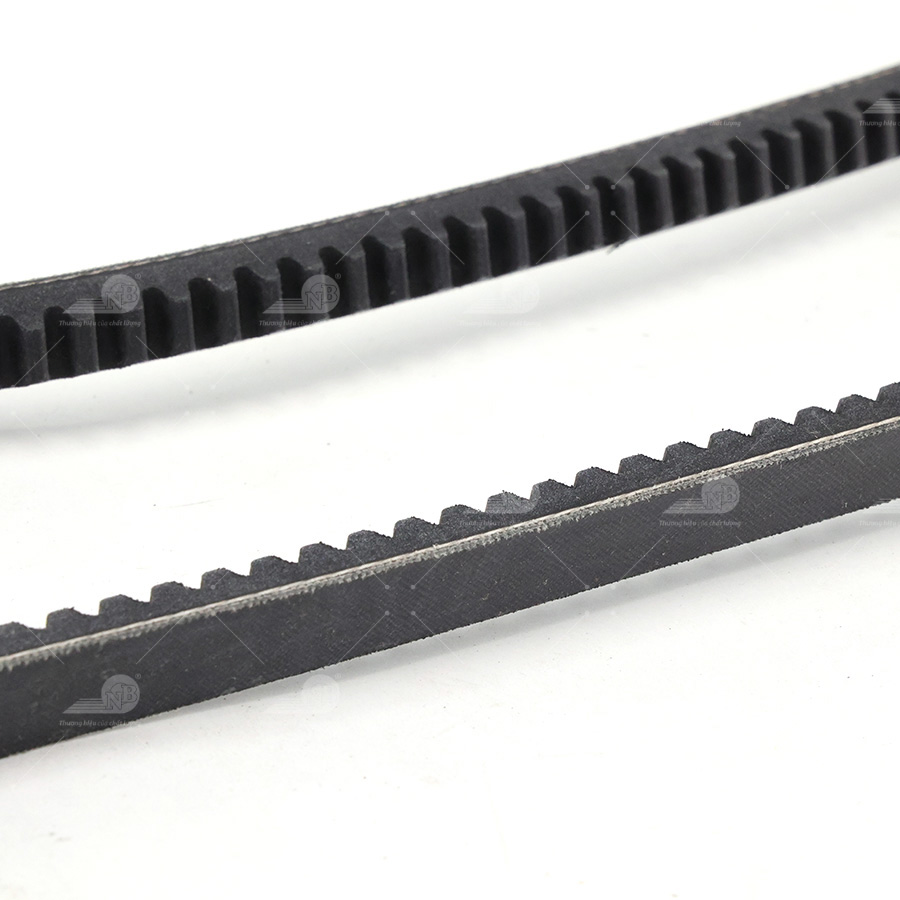 Dây curoa thang Optibelt  V13x1550