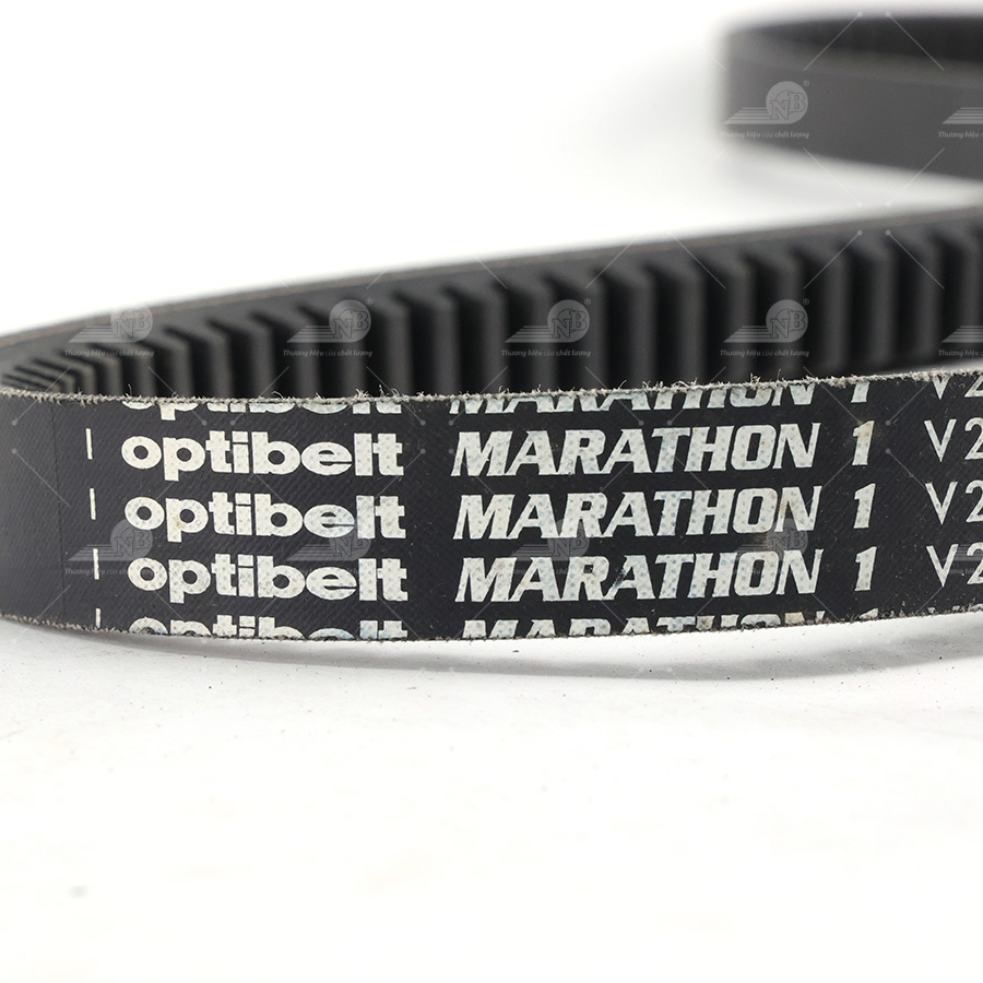 Dây curoa thang Optibelt  V20x1575