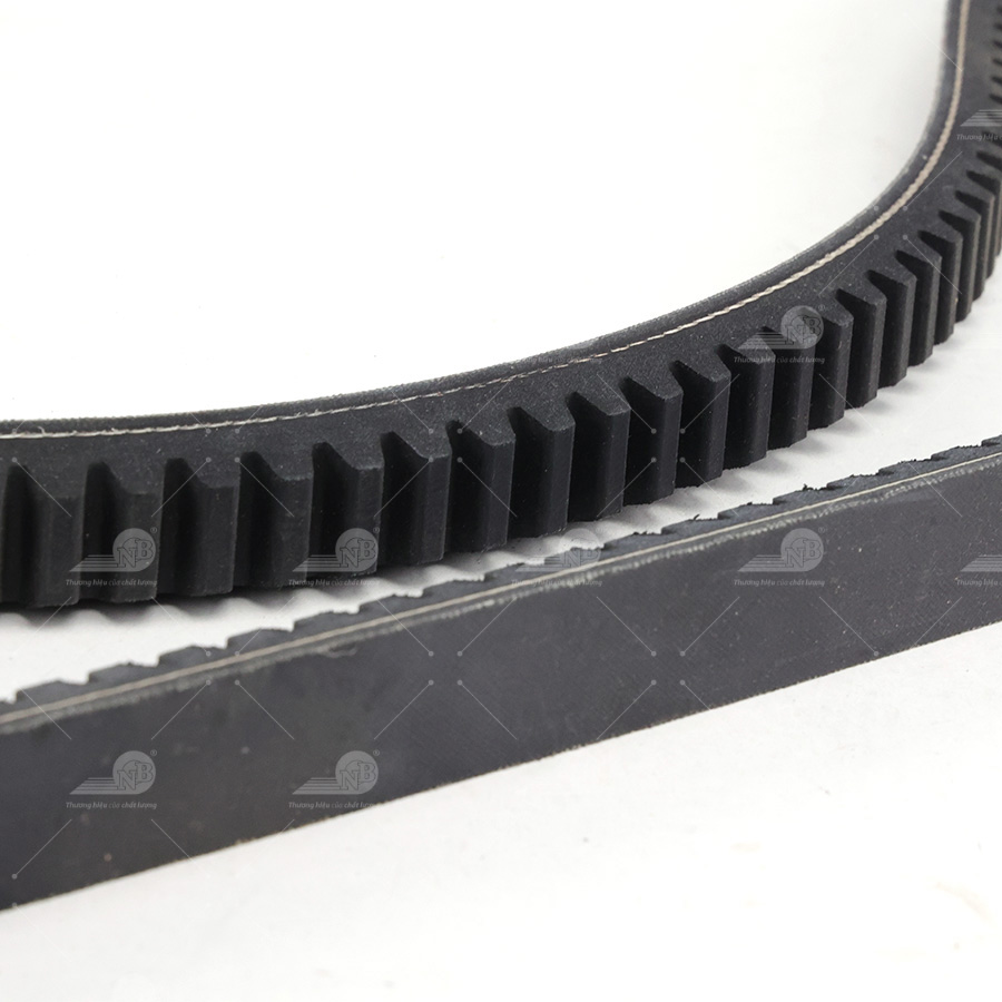 Dây curoa thang Optibelt  V20x1575