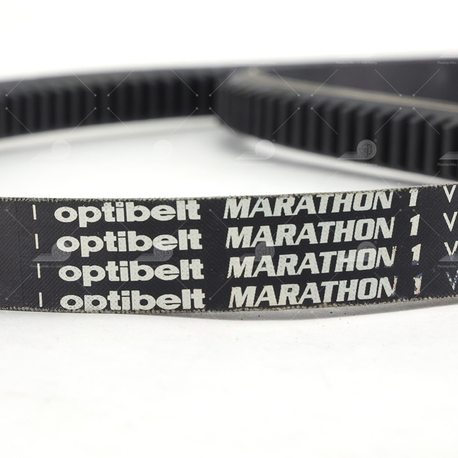 Dây curoa thang Optibelt  V20x2315