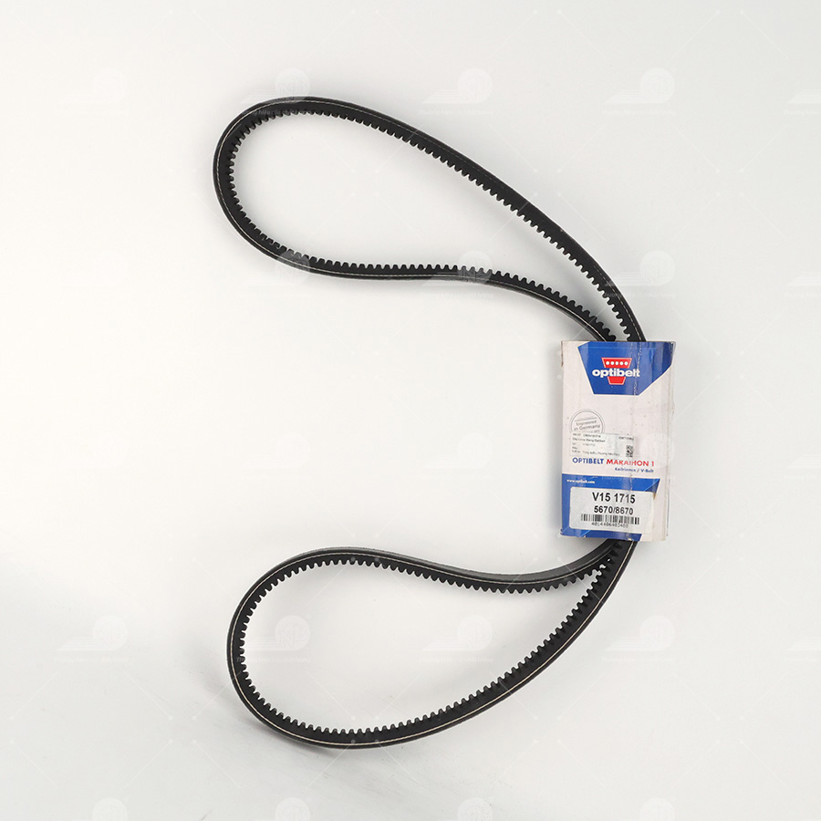 Dây curoa thang Optibelt  V15x1715